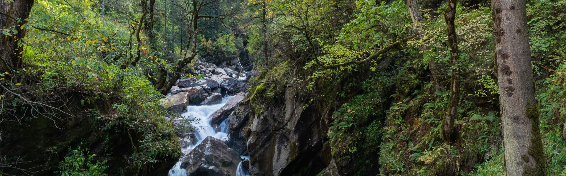 Feel The Magic Of The Majestic Mountains Kasol - Pulga / Kheerganga