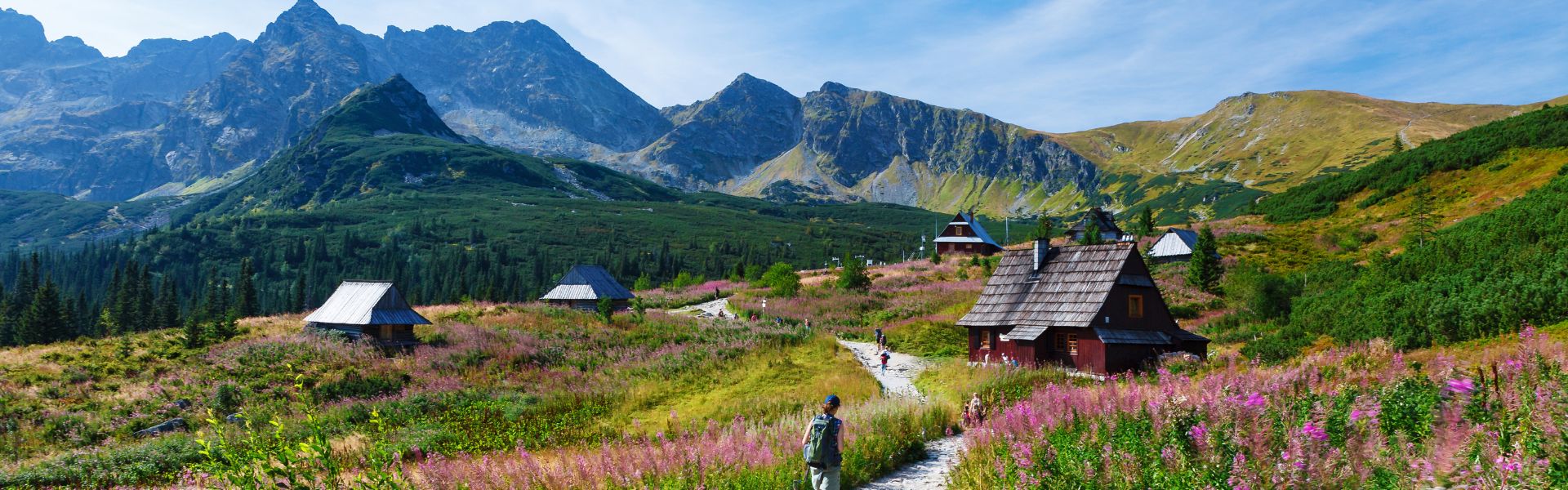 Kinnaur - Valley Of Flowers