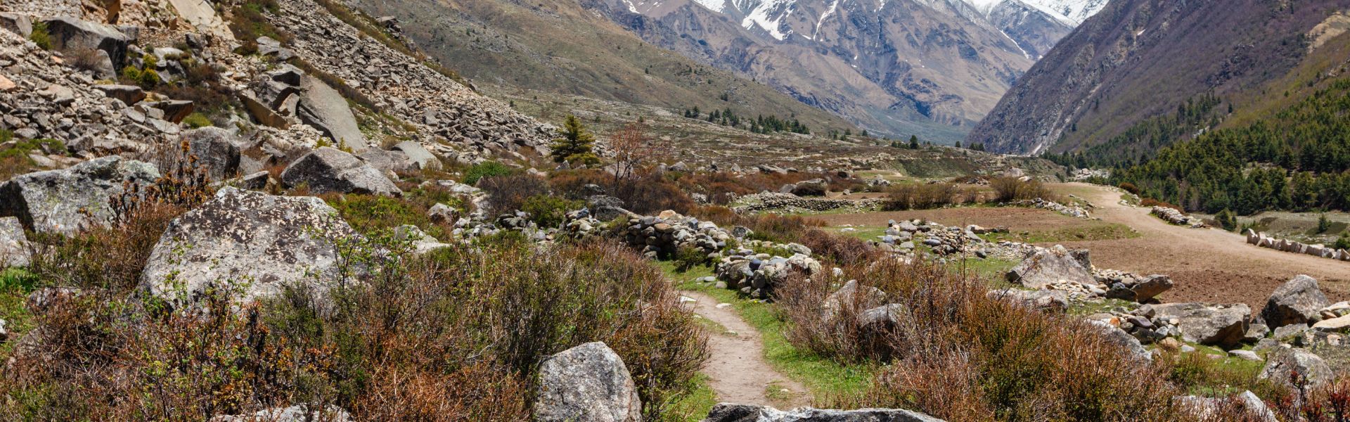 Sangla Valley Retreat