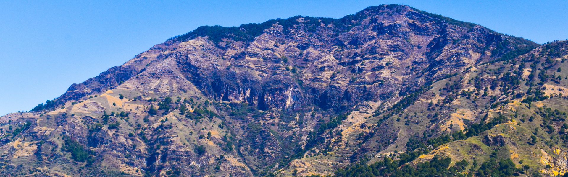 Nag Tibba Trek